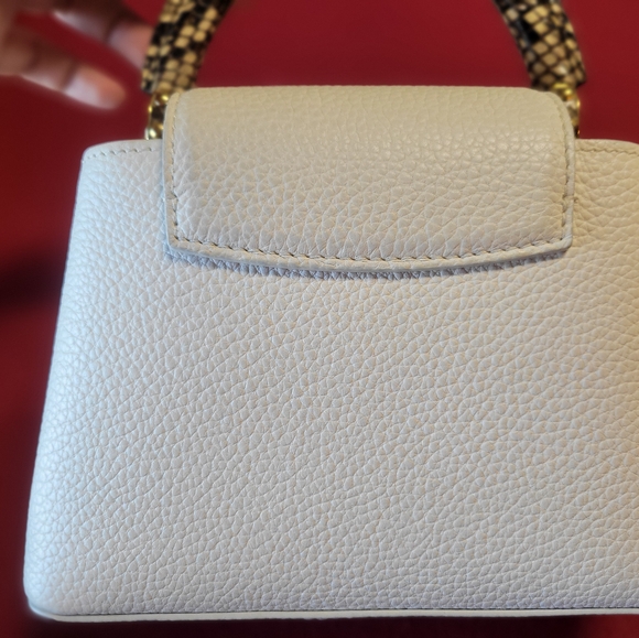 Louis Vuitton Mini Capucine with Exotic Touch - Picture 2 of 10